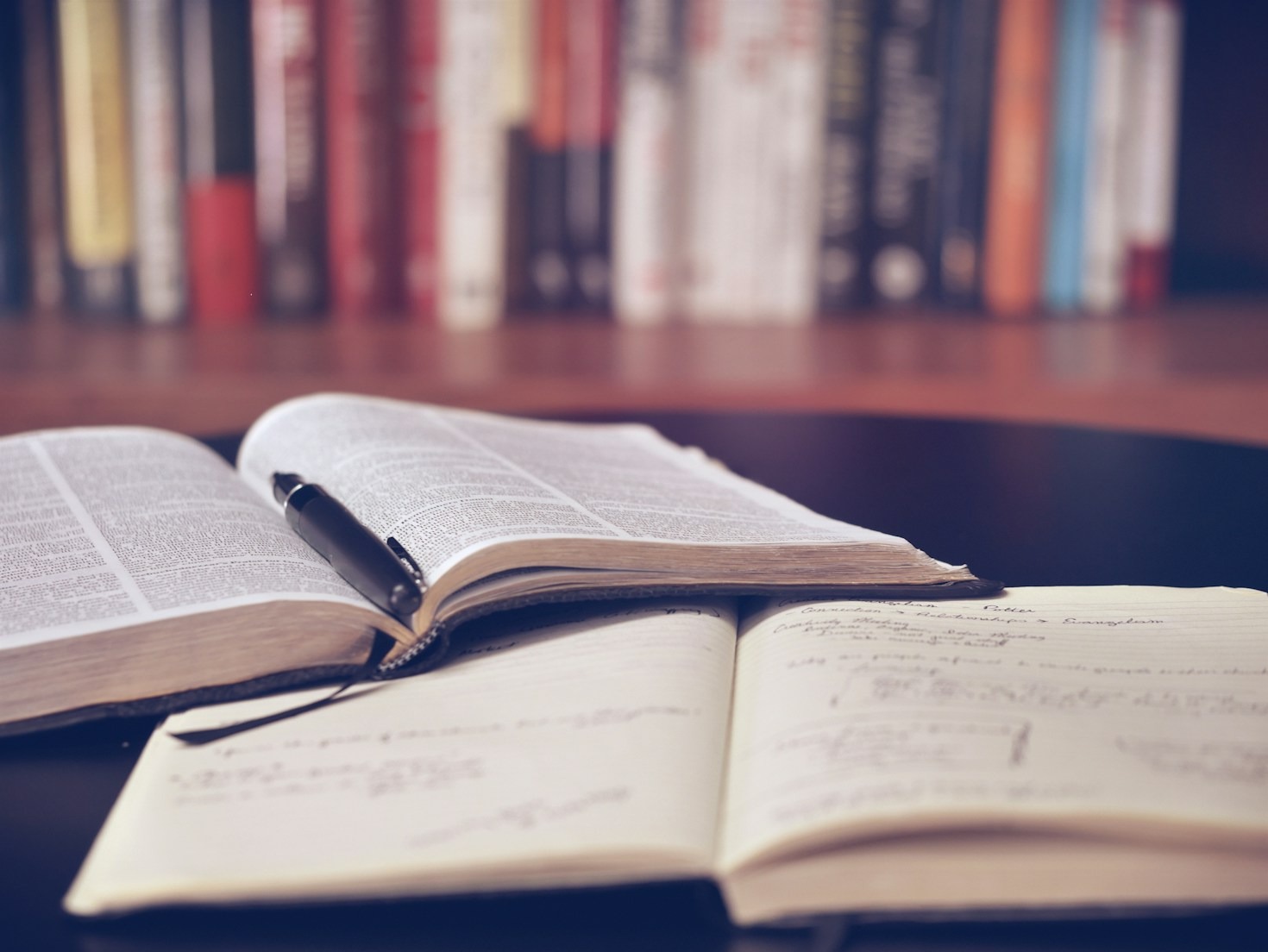 How Academic Studies Shape Professional Insights